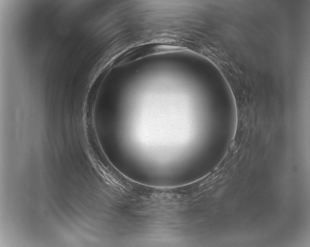 X0000071950242200607071217