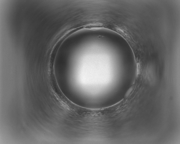 X0000071950243200607071217