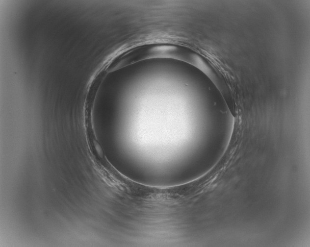 X0000071950244200607071217