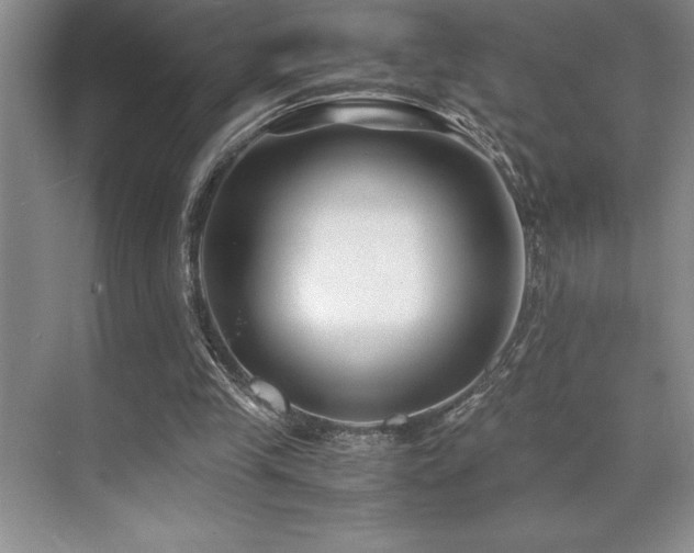 X0000071950245200607071217