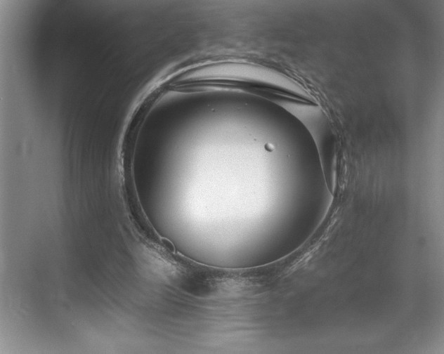 X0000071950246200607071217