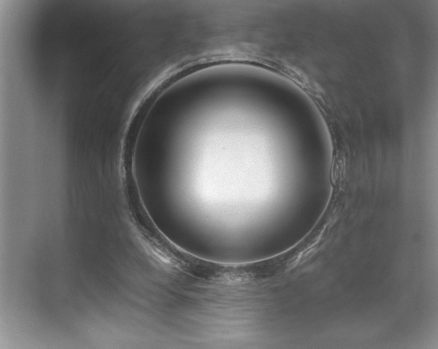 X0000071950248200607071217