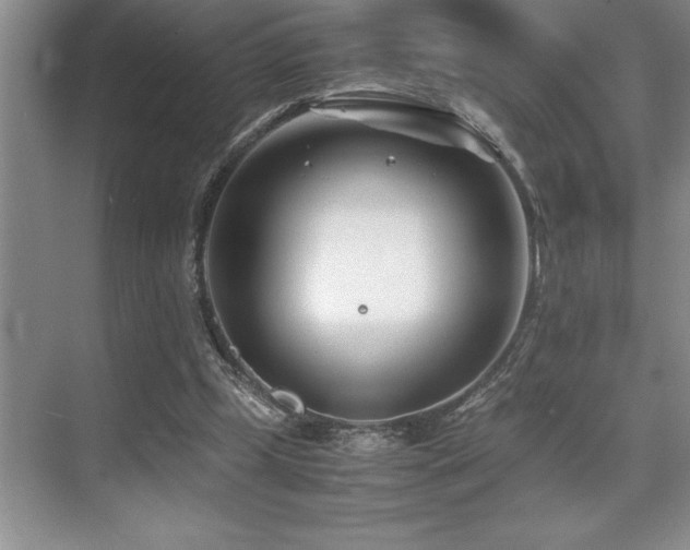 X0000071950249200607071217