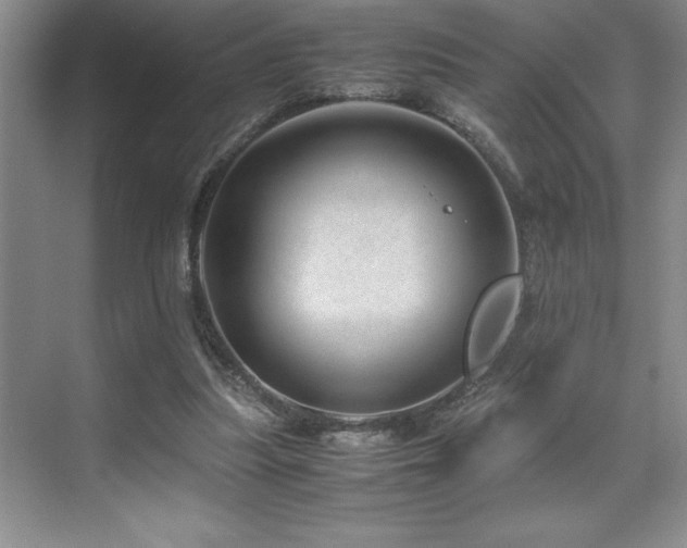 X0000071950251200607071217