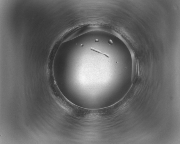 X0000071950252200607071217