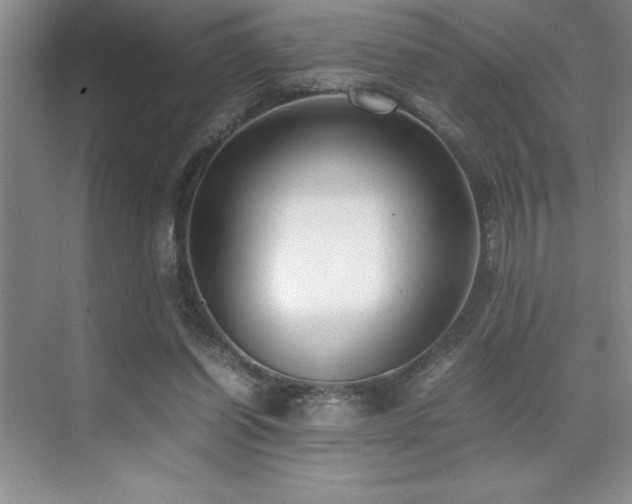 X0000071950254200607071217