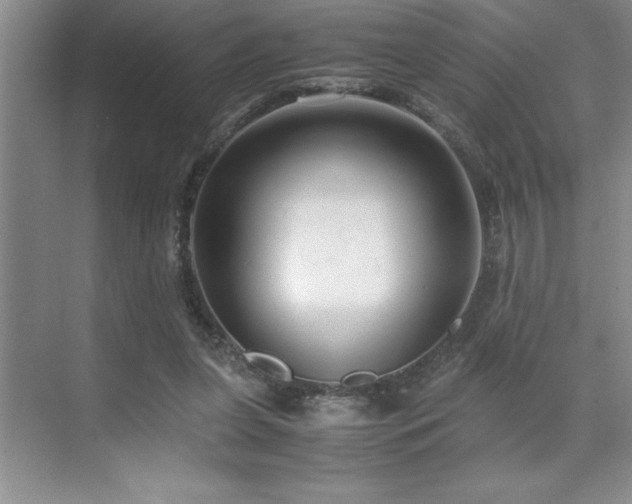 X0000071950255200607071217