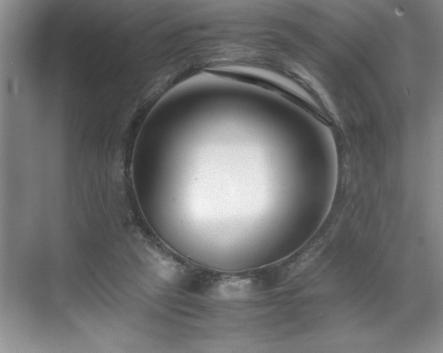 X0000071950257200607071217