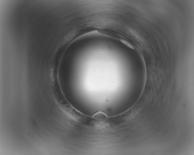 X0000071950258200607071217