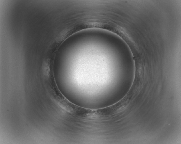 X0000071950259200607071217