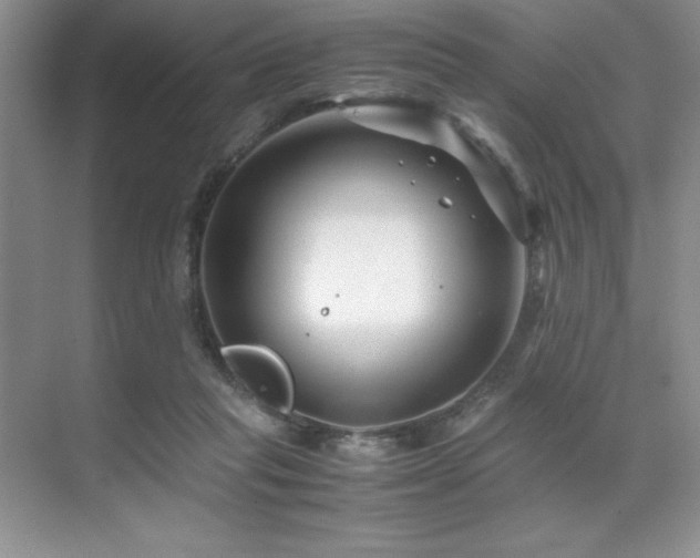 X0000071950261200607071217