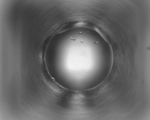 X0000071950262200607071217