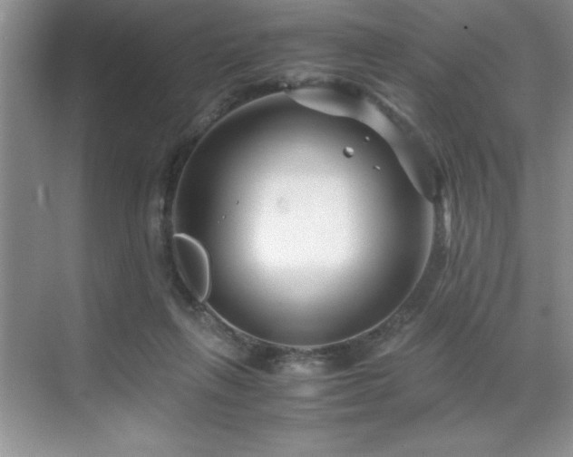 X0000071950263200607071217