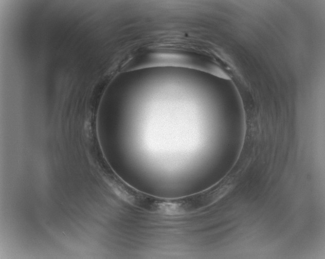 X0000071950265200607071218