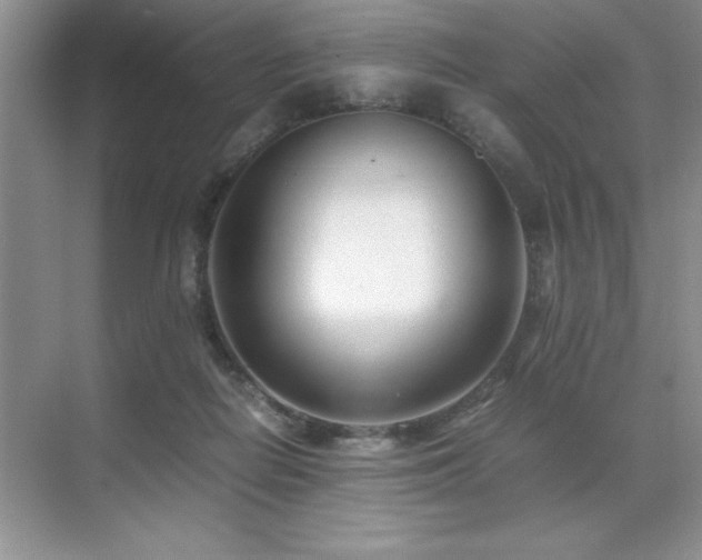 X0000071950266200607071218