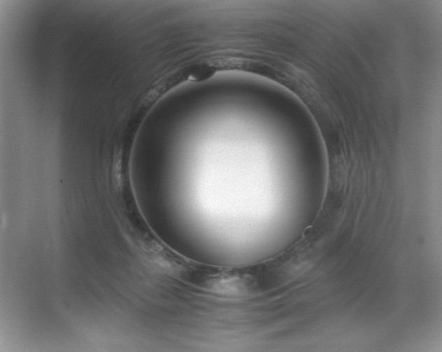 X0000071950267200607071218