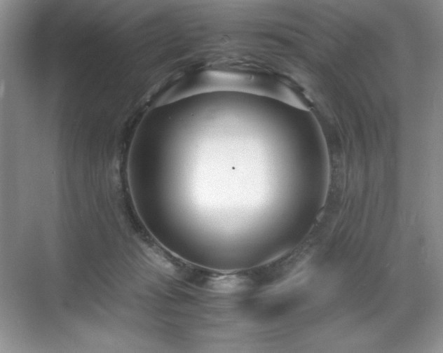 X0000071950269200607071218