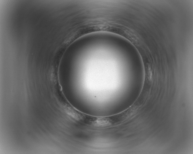 X0000071950270200607071218