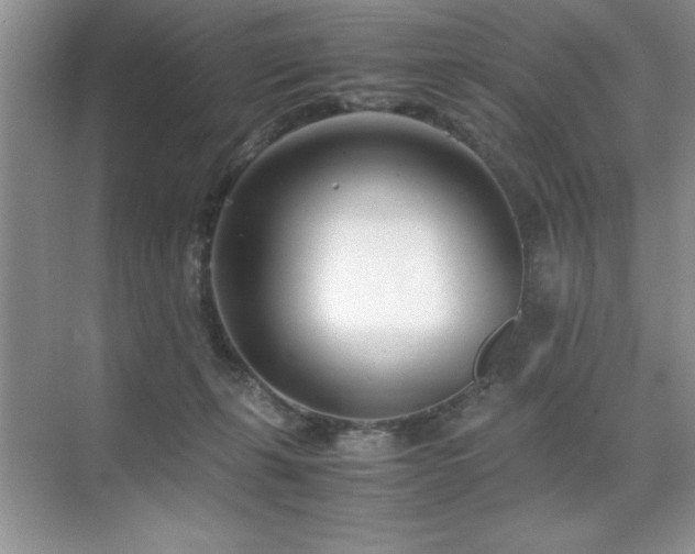 X0000071950271200607071218