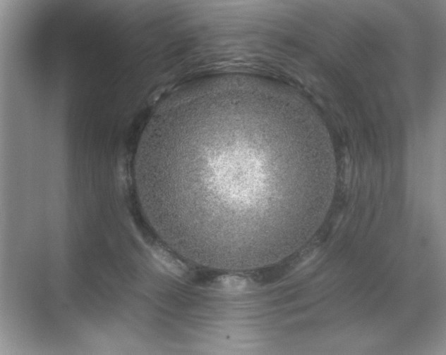 X0000071950272200607071218