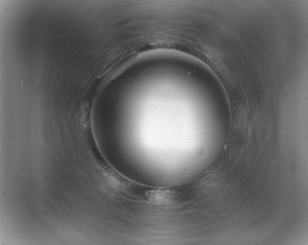 X0000071950273200607071218