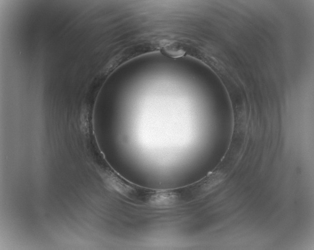 X0000071950274200607071218