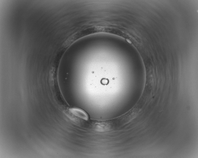 X0000071950275200607071218