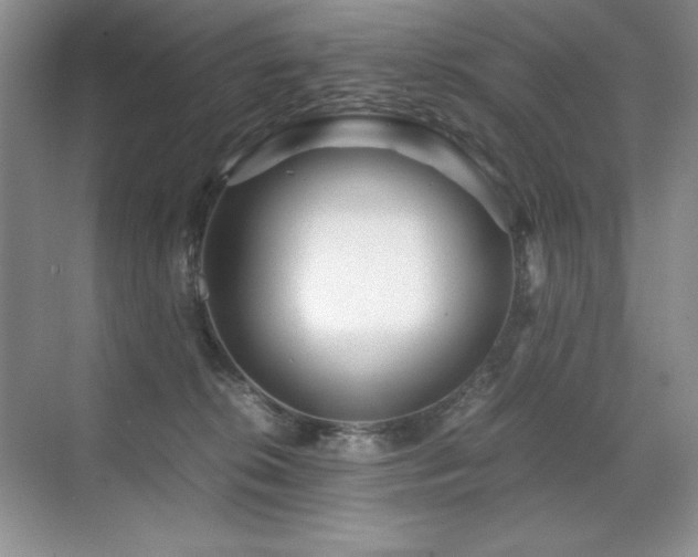 X0000071950276200607071218