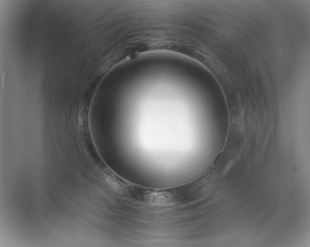 X0000071950277200607071218