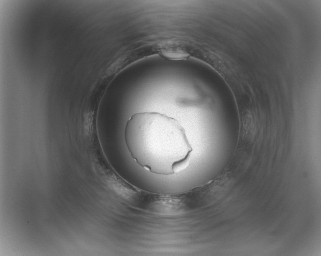 X0000071950278200607071218