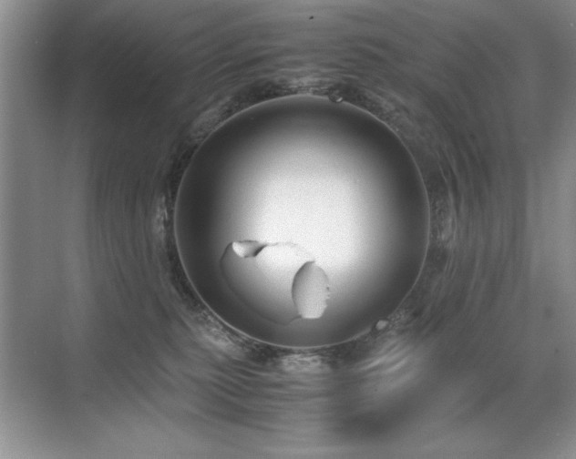 X0000071950279200607071218