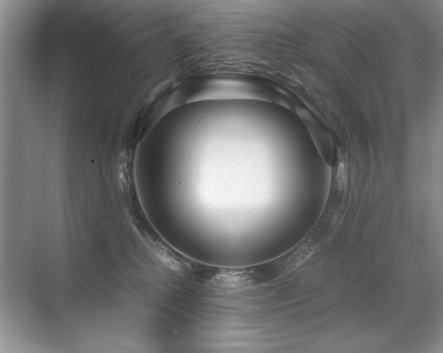 X0000071950280200607071218