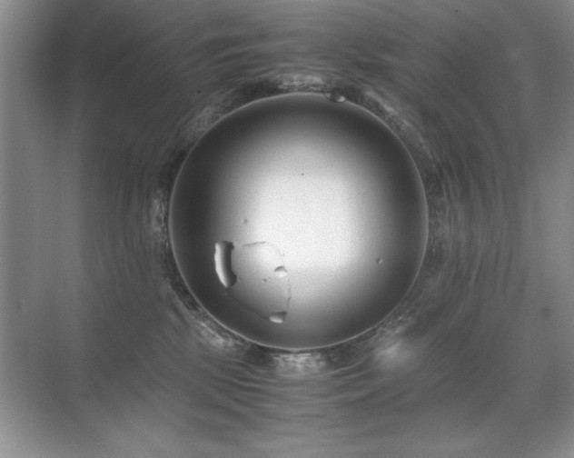 X0000071950281200607071218