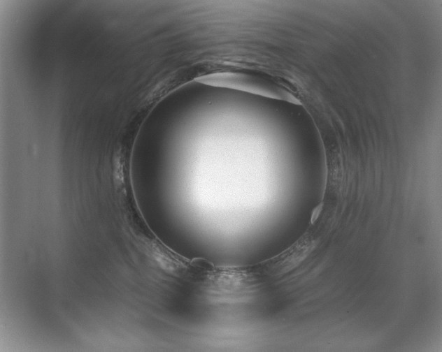 X0000071950282200607071218