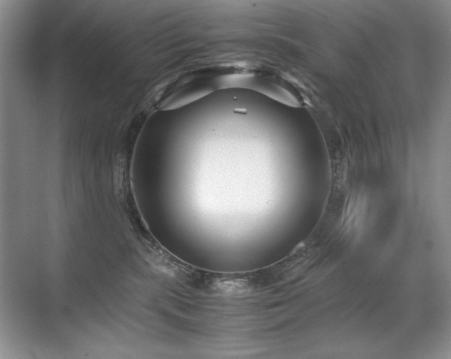 X0000071950283200607071218