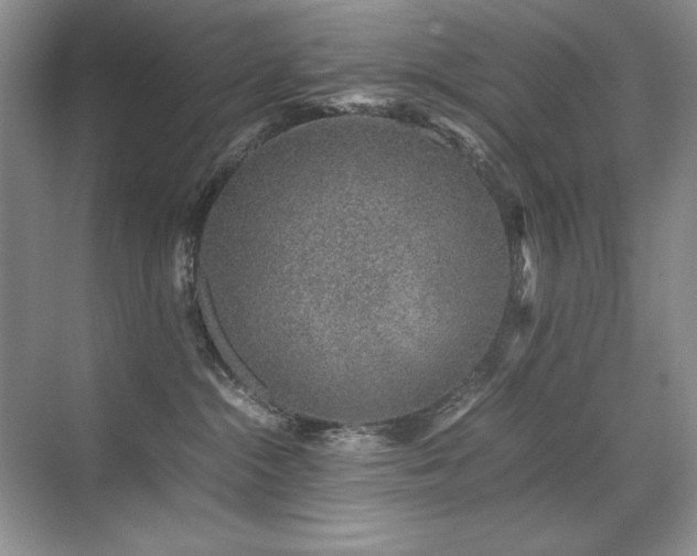 X0000071950284200607071218