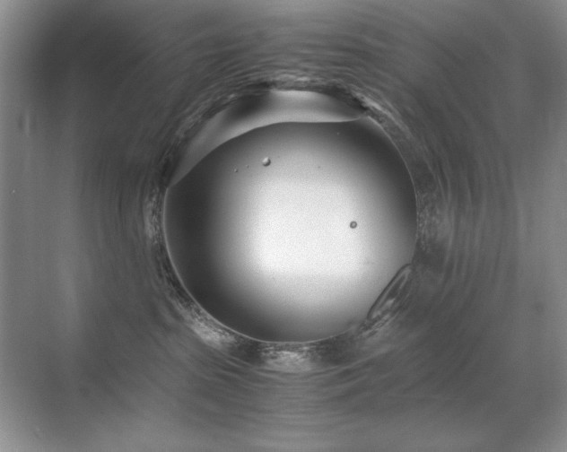 X0000071950285200607071218