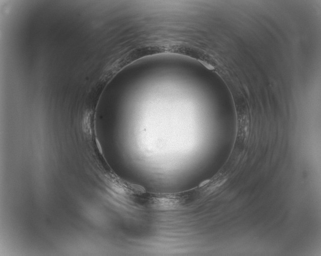 X0000071950286200607071218