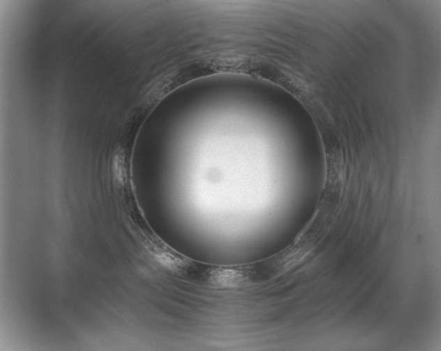 X0000071950287200607071218