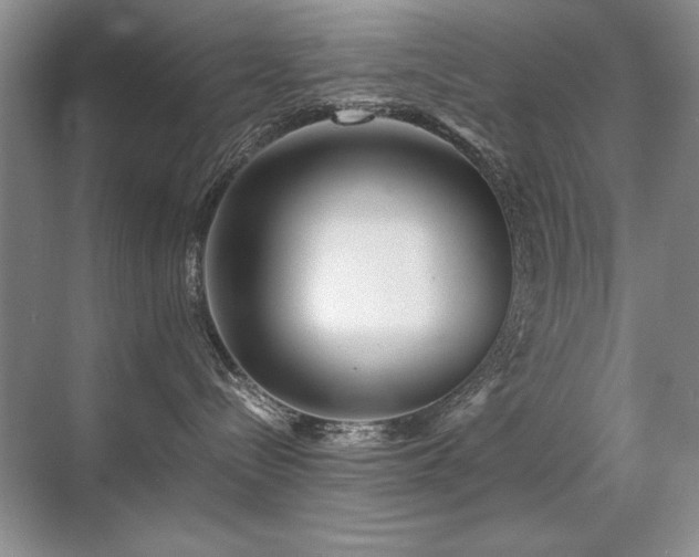 X0000071950288200607071218