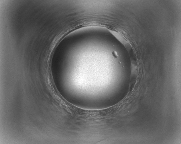 X0000071950289200607071217