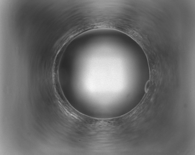 X0000071950290200607071217