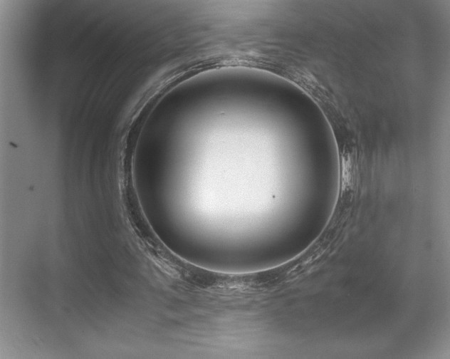 X0000071950291200607071217