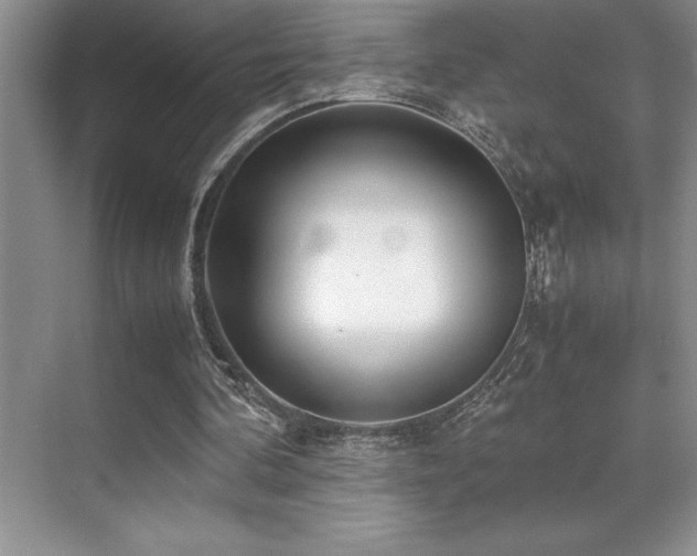 X0000071950292200607071217