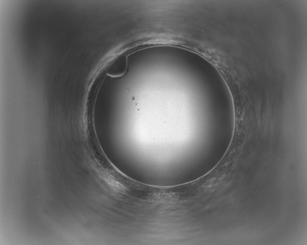 X0000071950296200607071217