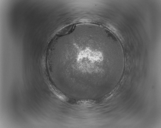 X0000071950297200607071217