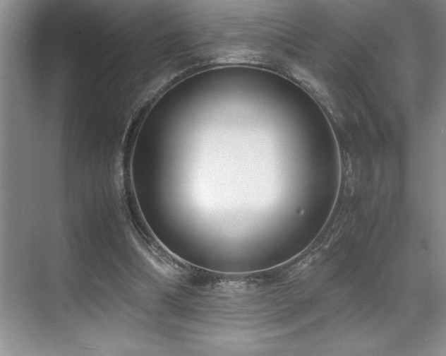 X0000071950298200607071217