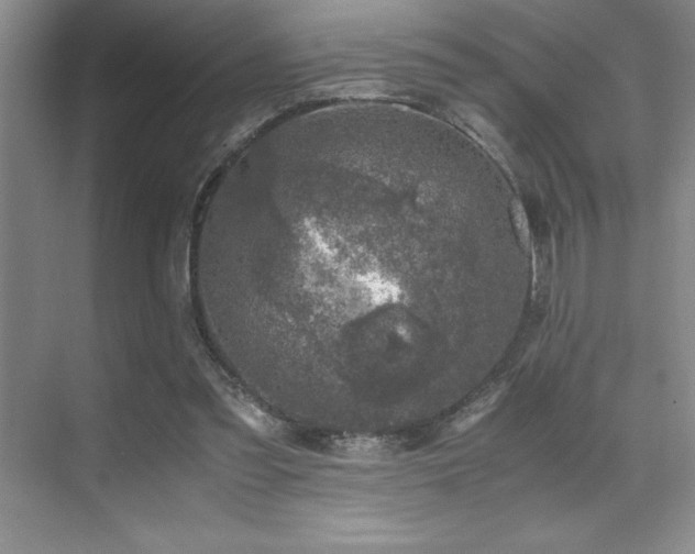 X0000071950301200607071217