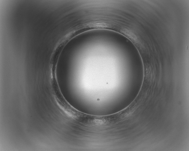 X0000071950302200607071217