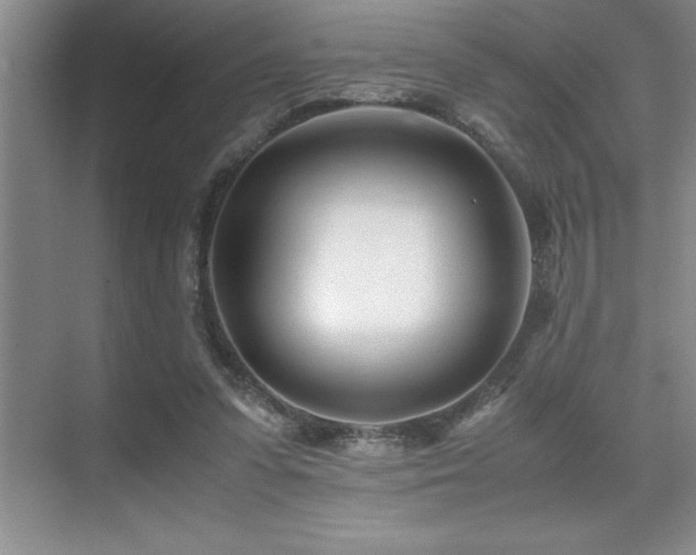 X0000071950303200607071217